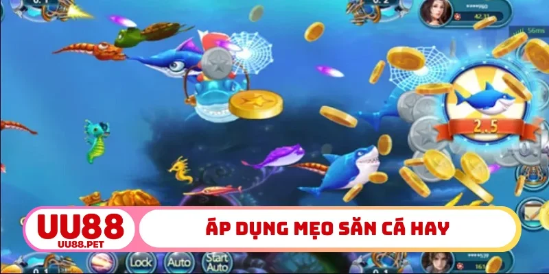 Áp dụng mẹo săn cá hay