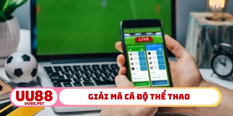 Giải mã cá độ thể thao có hợp pháp không