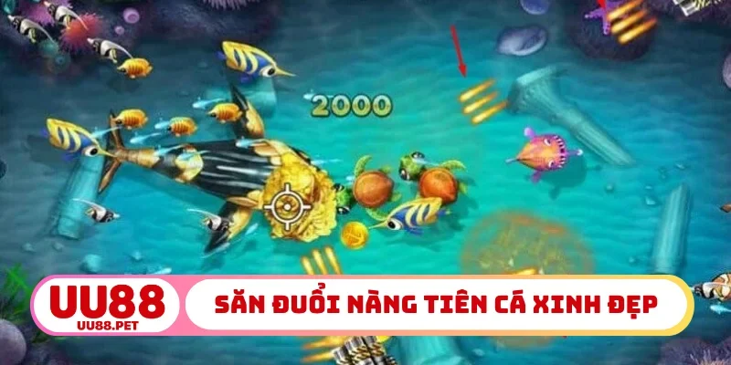 Săn đuổi nàng tiên cá xinh đẹp